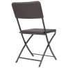 Chaises Pliable en Roten PE Marron - Lot de 2