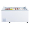 Negatieve Koelvitrine Serie G 500L - Polar