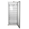 Gefrierschrank 590 L Umluftkühlung -18/-22°C