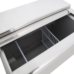 Réfrigérateur Coffre à Boissons Inox - 270 L - TEFCOLD