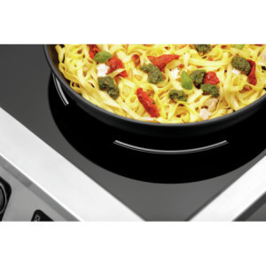 Inductiekookplaat 2 Pitten - 7000 W