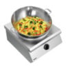 Inductie Wok - 8000 W