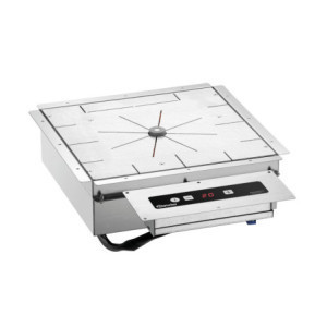 Système de Maintien au Chaud à induction - 650 W