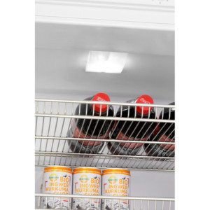 Witte Positieve Koelkastkast - 270 L