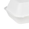 Composteerbare Suikerriet Voedselbakjes Fiesta 400x335mm - Set van 200 - Fiesta Green