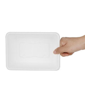 Composteerbare Suikerriet Voedselbakjes Fiesta 800ml - Set van 100 - Fiesta Green