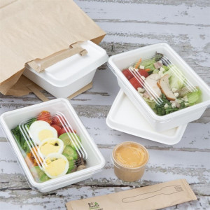 Composteerbare Suikerriet Voedselbakjes 1000ml - Set van 100 - Fiesta Green
