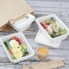 Kompostierbare Bagasse-Lebensmittelbehälter 1000ml - Packung mit 100 - Fiesta Green