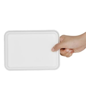 Composteerbare Bagasse Deksel voor Schalen - Set van 100 - Fiesta Green