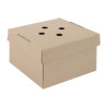 Vierkante Vouwbare Burgerdozen - Set van 100 - Fiesta Green