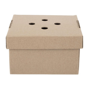 Foldable Square Burger Boxes - Pack of 100 - Fiesta Green