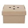 Foldable Square Burger Boxes - Pack of 100 - Fiesta Green
