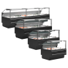 Premium Service Vitrine voor Verse Vis - 320 W