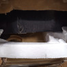 Kühlschrank 200 Liter - Positiv Schwarz - Dynasteel