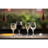 Verre à Vin Solar - 245 ml - Lot de 24- Olympia