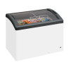 Diepvriezer voor IJs - 270 L - TEFCOLD