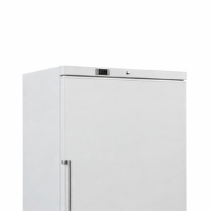 White Ventilated Freezer Cabinet - 600 L - Refurbished