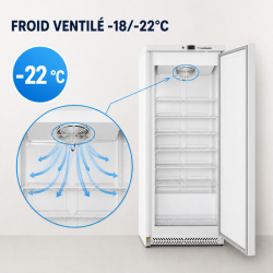 Freezer Cabinet 590 L Ventilated Cold -18/-22°C