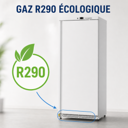 Freezer Cabinet 590 L Ventilated Cold -18/-22°C
