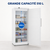 Freezer Cabinet 510 L Ventilated -18/-22°C White