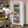 Ventilated Refrigerated Cabinet 527 L +2/+8 °C — Solid Door