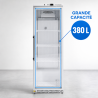 Glazen Koelvitrine 380 L 0/+8°C