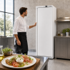 Positieve Koelkastkast 380 L 0/+8°C Volle Deur