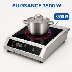 Plaque Induction Pro 3500 W 8 Niveaux Minuteur | Dynasteel