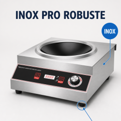 Wok à Induction Pro 3500 W Inox — Zone Concave Ø227