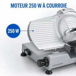 Professionele Ham Snijmachine 300 mm 250 W met Zwaartekracht