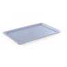 Rectangular Granite Pattern Tray GN 1/1 - 530 x 325 mm