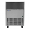 Ice Machine - 79 Kg - Ice Tech