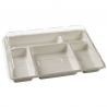 Transparent RPET Lid for 5-Compartment Tray - Set of 25