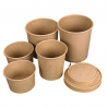 Pot en Carton - 480 ml - Lot de 50