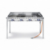 Professional Gas BBQ on Wheels - Brand HENDI