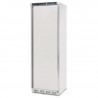 Kühlschrank mit negativer Temperatur aus Edelstahl - 365 L