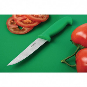 Gemüsemesser Grün Klinge 10 cm - Hygiplas - Fourniresto