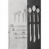 Child Kelso Stainless Steel Fork - Set of 12 - Olympia - Fourniresto