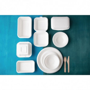 Bordjes van composteerbare bagasse 26 cm - Pak van 50 - Fiesta Green - Fourniresto