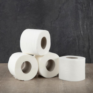 Toilet Paper Roll 2 Ply - Pack of 36 - Jantex - Fourniresto