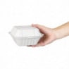 Hinged Bagasse Compostable Trays - 500 ml - Pack of 250 - Fiesta Green