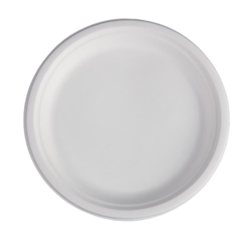 Ronde Borden van Bagasse - 26,1 cm - Set van 50 - FourniResto