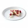 Ronde Borden van Bagasse - 26,1 cm - Set van 50 - FourniResto