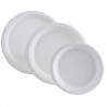 Ronde bord van bagasse - 180 x 18 mm - Set van 50