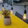 String Light with Filament Bulb - Mafy Light - Lumisky