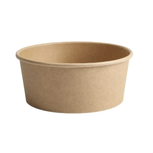 Kraft Salad Bowl with PET Lid - 750 ml - Pack of 300