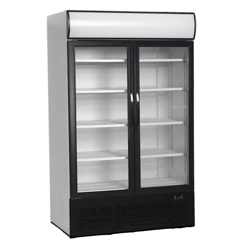 Koelvitrine met Luifel 2 Glazen Deuren - 645 L