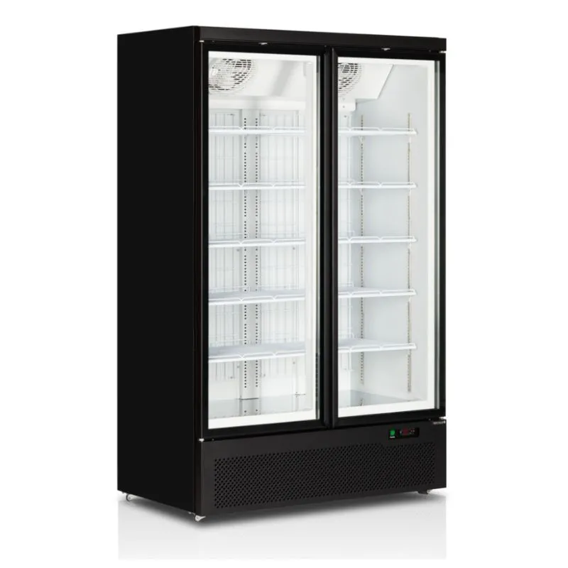 Schwarzer Vertikaler Gefrierschrank - 2 Glastüren - 702 L