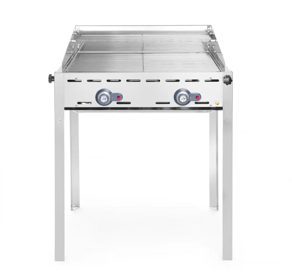Barbecue à Gaz Professionnel Green Fire - 2 Brûleurs - Grille en Inox