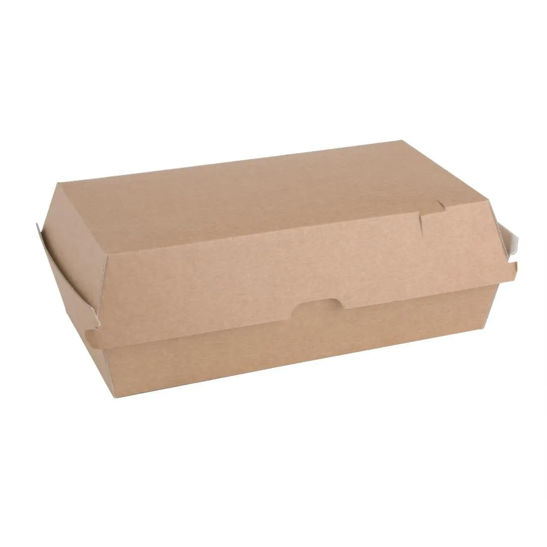 Grandes Boîtes avec Couvercle à Charnière Compostables 204 mm - Lot de 100
